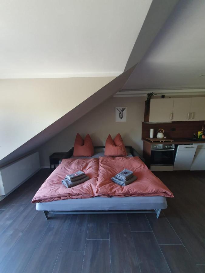 Neumuehler Hof- Ferienwohnung "Benjamin" Mit Grosser Privater Dachterasse Und Guter Anbindung In Die City Schwerin (Mecklenburg-Vorpommern) Exterior foto