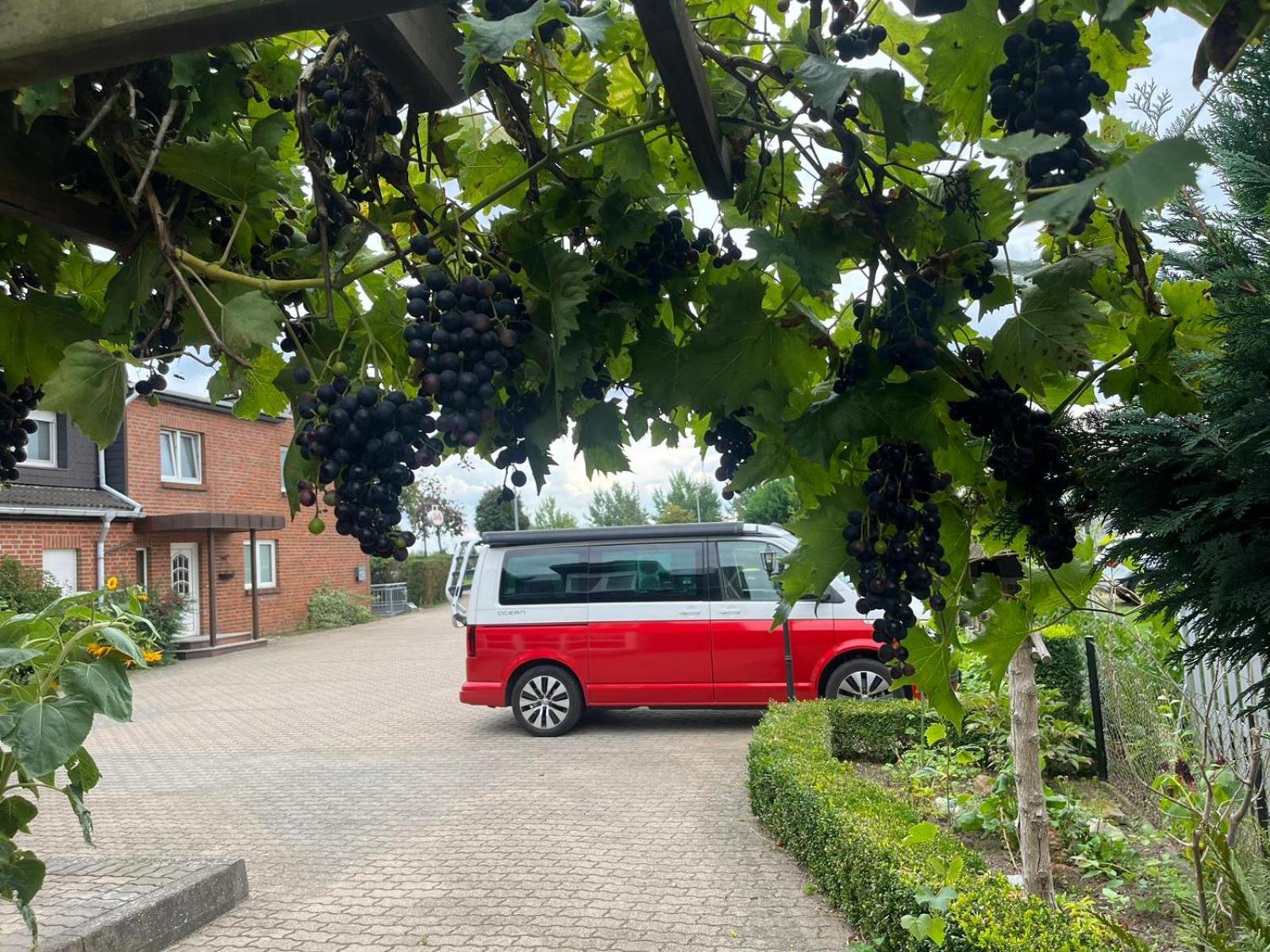 Neumuehler Hof- Ferienwohnung "Benjamin" Mit Grosser Privater Dachterasse Und Guter Anbindung In Die City Schwerin (Mecklenburg-Vorpommern) Exterior foto